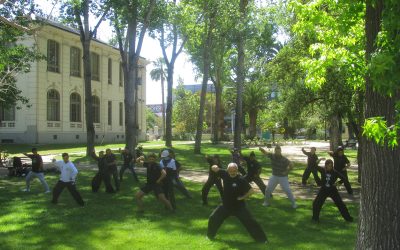 Seminario Wcta Chile en parque Quinta Normal